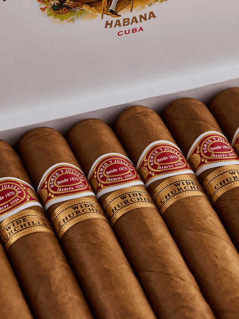 Romeo y Julieta Wide Churchills