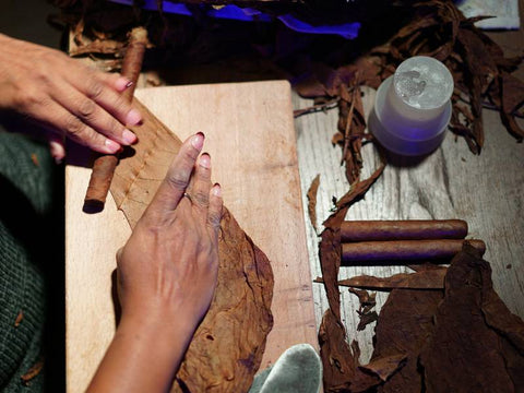 What Makes Cuban Tobacco So Unique? A Deep Dive into the Vuelta Abajo Terroir and Its Global Prestige