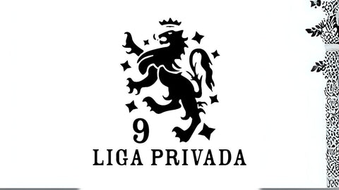 Liga Privada