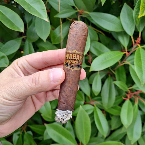 Tabak Especial Robusto Negra - Robusto Oscuro
