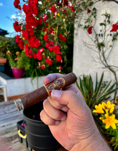 Oliva Serie V Double Robusto
