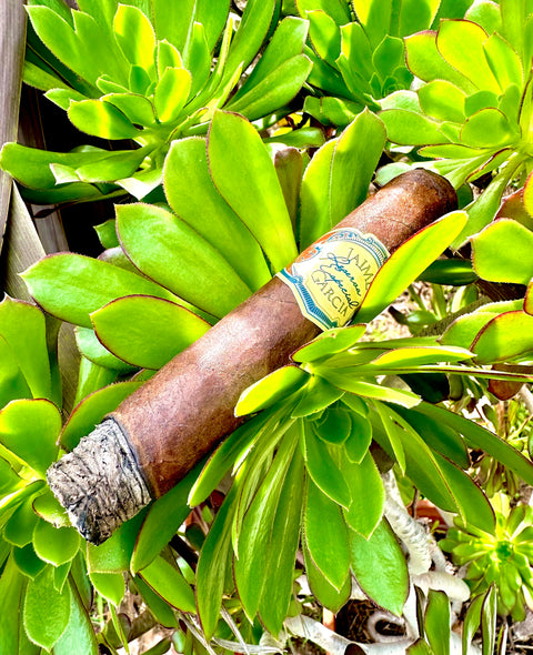 Jaime Garcia Reserva Especial Toro