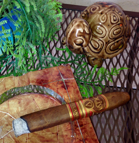 Oliva Serie V Melanio Torpedo