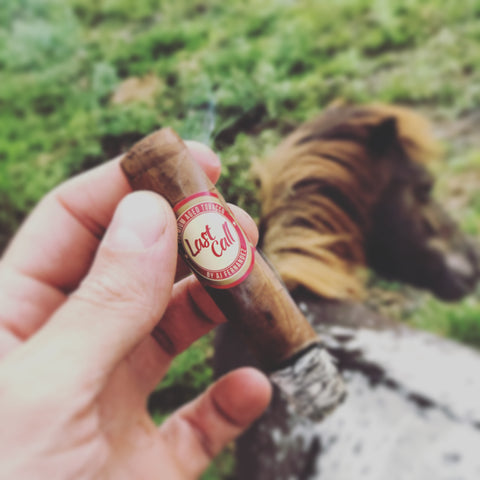 Last Call Habano Geniales by AJ Fernandez