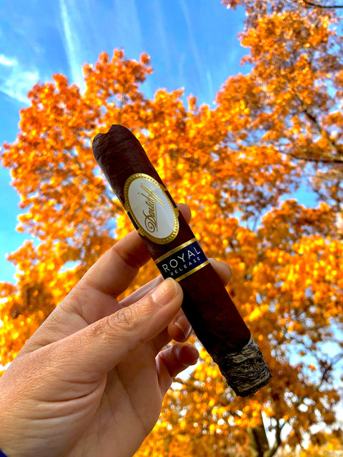 Davidoff Royal Release Robusto