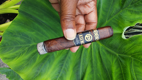 Plasencia Alma Fuerte Robusto
