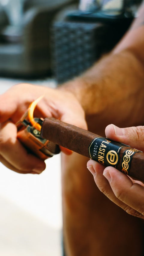 Plasencia Alma Fuerte Robusto