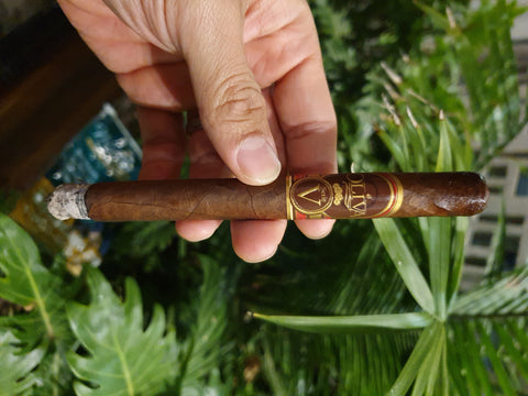 Oliva Serie V Lancero