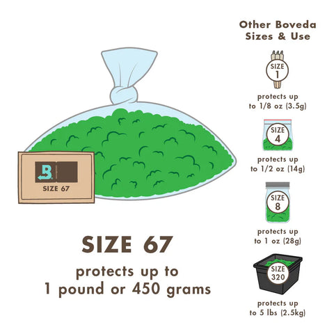 67 Gram Humidity Packets – 62% for Cannabis Display of 12