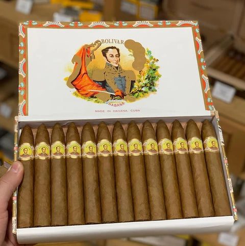 Bolivar Belicosos Finos