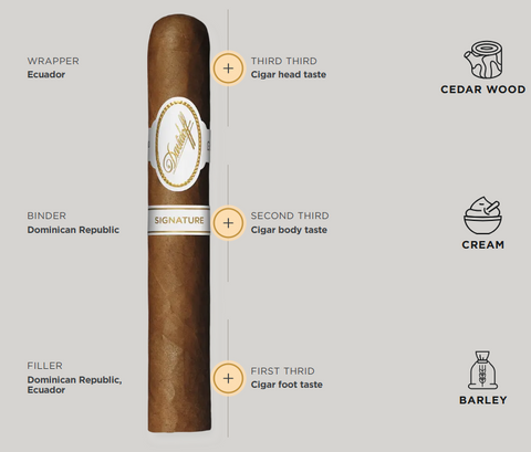 Davidoff Signature Series 6000 Cigar