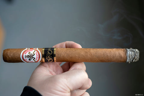 Hoyo de Monterrey Double Coronas
