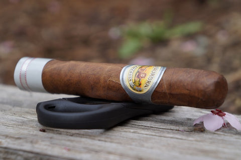 La Aurora 1903 Edition Cameroon Robusto