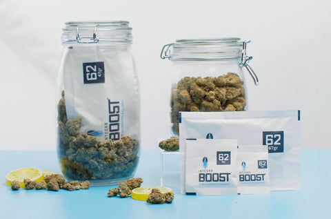 Integra BOOST® 8g 2-Way Humidity Pack – Display of 144 (62% RH for Cannabis)