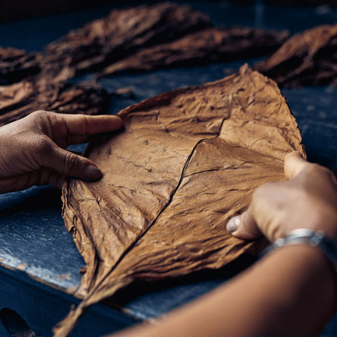 Davidoff Aniversario Entreacto 4'S