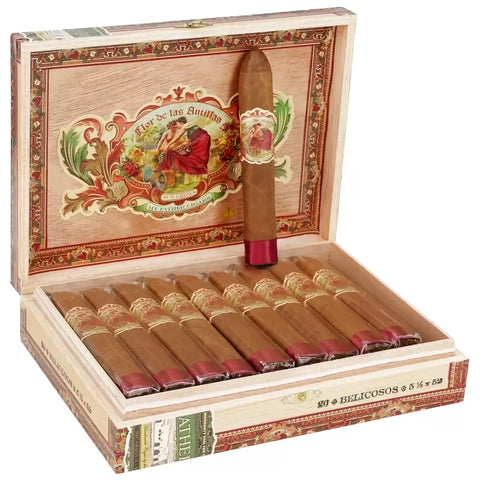 Flor de las Antillas Belicosos