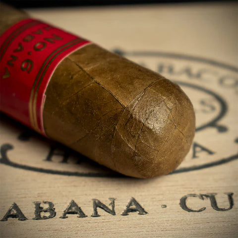 Partagás Serie D No. 6 – A Short Burst of Cuban Power